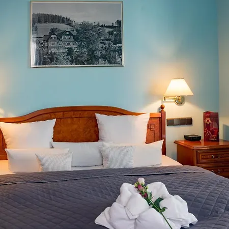 Hotel Rezydencja Hotel Karpacz